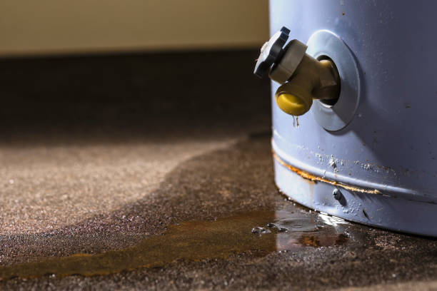 Best Mold removal after water damage  in Baxley, GA