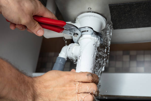 Best Flooded house restoration  in Baxley, GA
