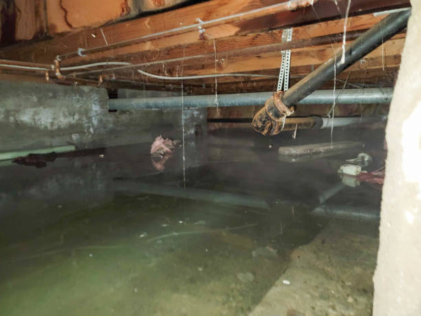 Best Water damage restoration near me  in Baxley, GA