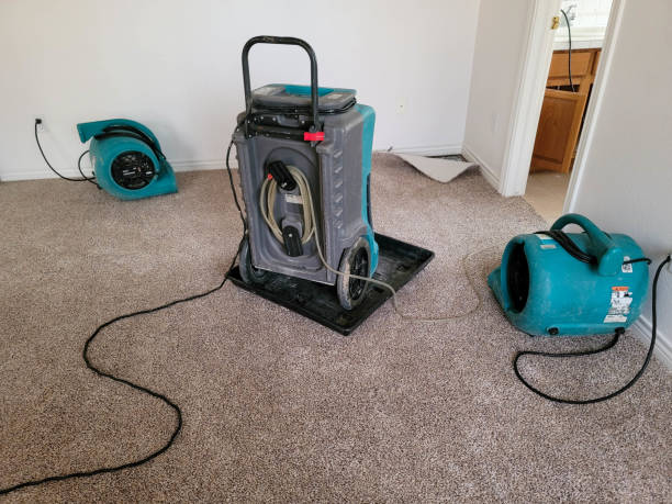 Best Residential water damage restoration  in Baxley, GA