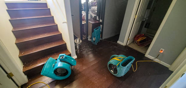 Best Carpet water damage restoration  in Baxley, GA