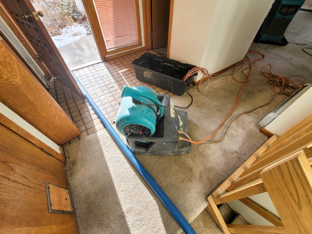 Best Flood restoration services  in Baxley, GA