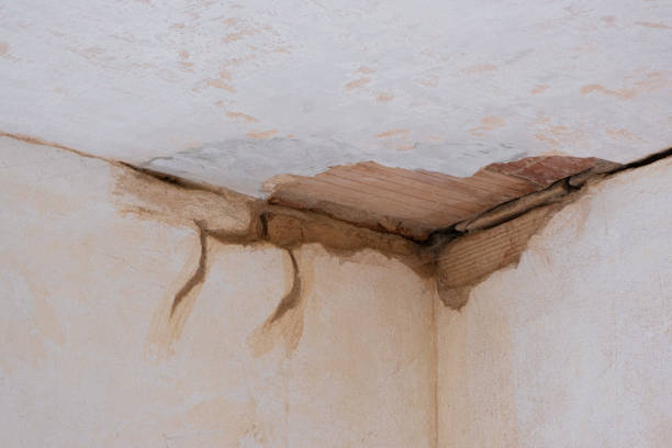 Best Commercial water damage restoration  in Baxley, GA