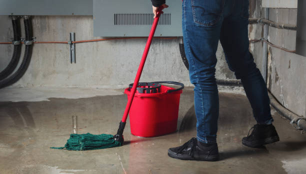 Best Water damage restoration specialists  in Baxley, GA