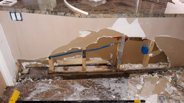 Best Ceiling water damage repair  in Baxley, GA