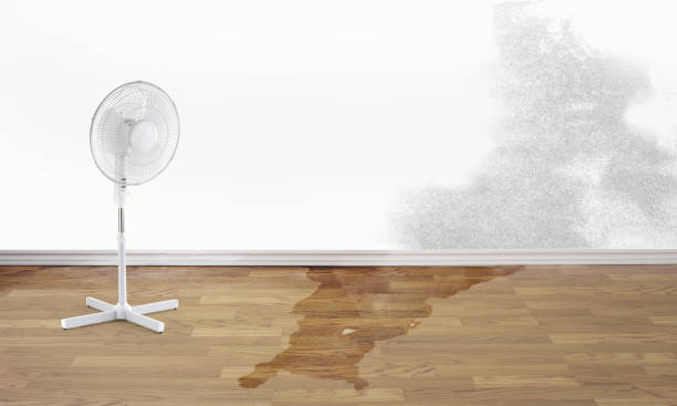 Best Local water damage restoration  in Baxley, GA