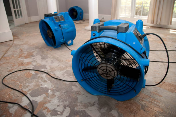 Best Basement water damage restoration  in Baxley, GA