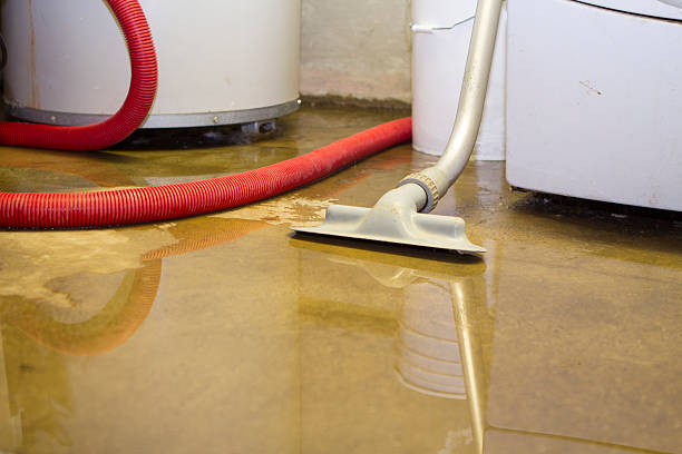 Best Flood damage cleanup  in Baxley, GA