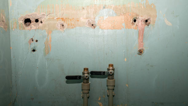 Best Water damage restoration near me  in Baxley, GA