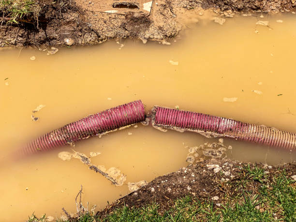 Best Local water damage restoration  in Baxley, GA